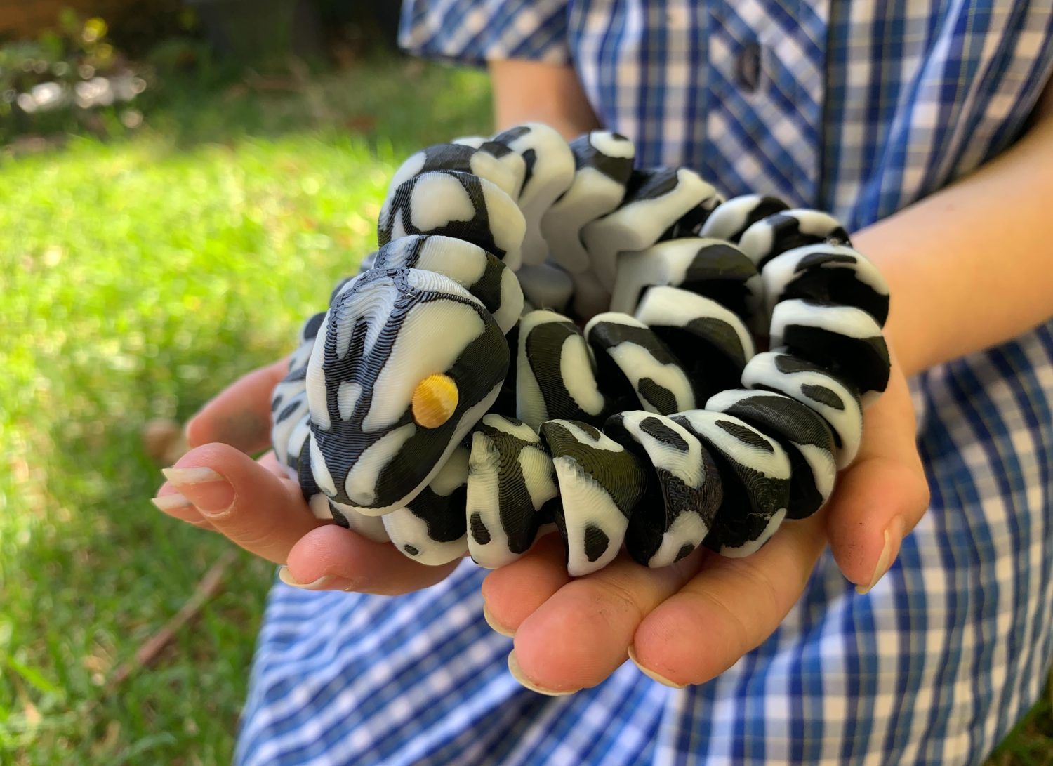 1000007739 Snake Fidget Toy