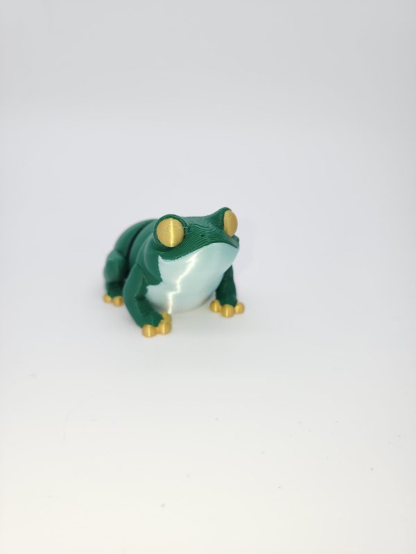 1000004328 Frog Articulated Fidget Toy