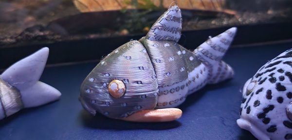 1000009169 Corydoras Fish Articulated Fidget Toy