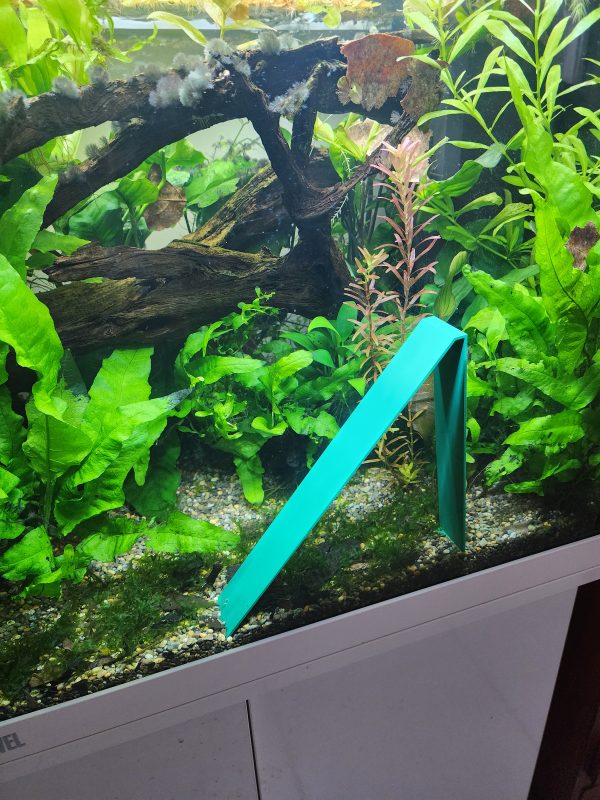 Angled Breeding Area