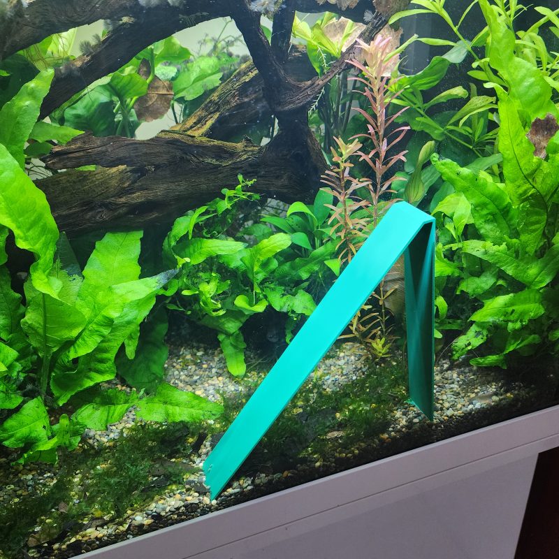 Angled Breeding Area