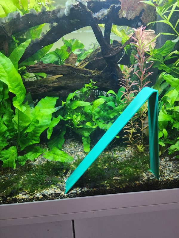 Angled Breeding Area
