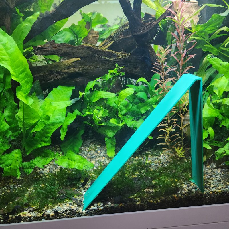 Angled Breeding Area