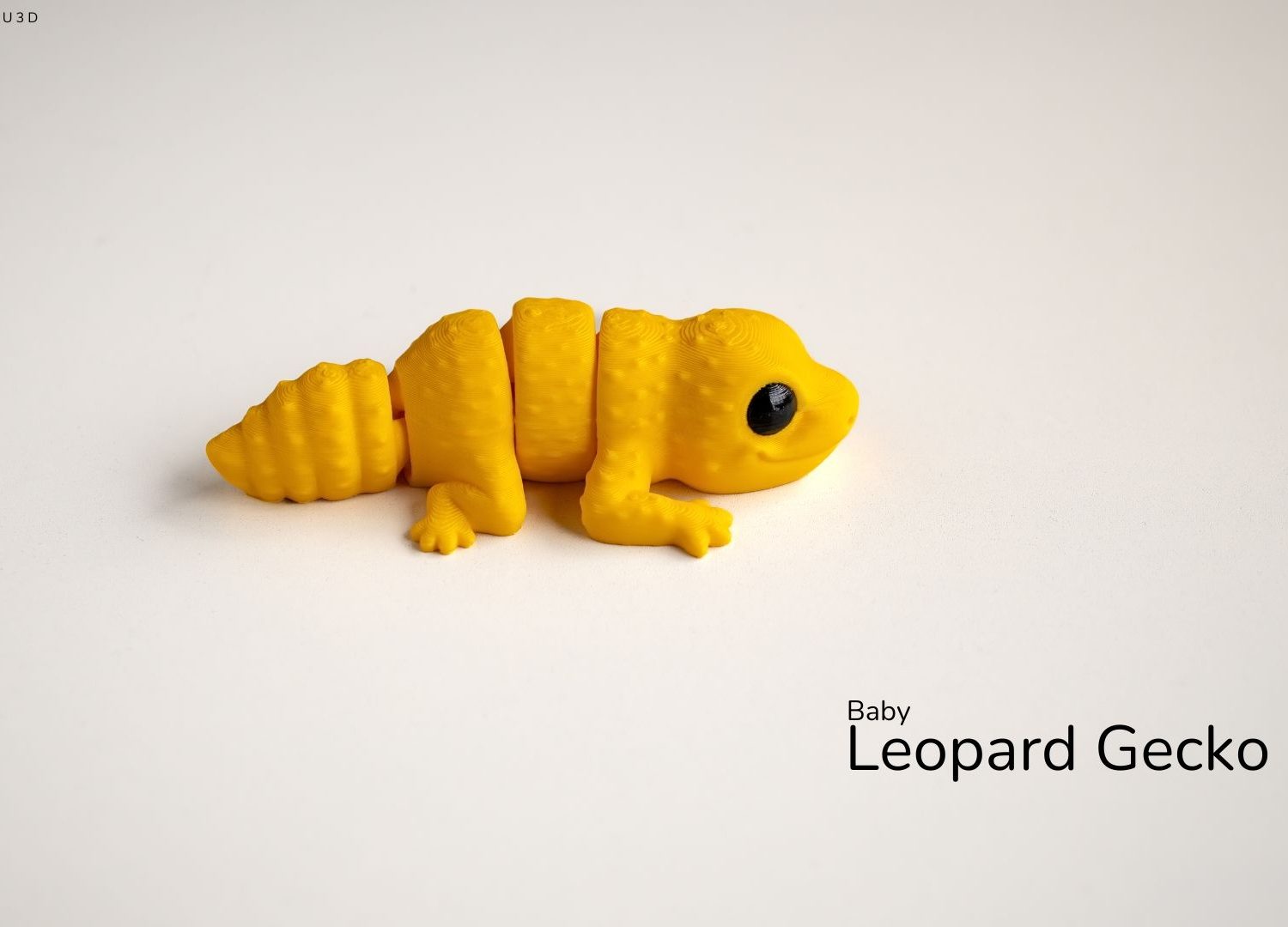 Baby_Leopard_Gecko1 Gecko Articulated Fidget Toy